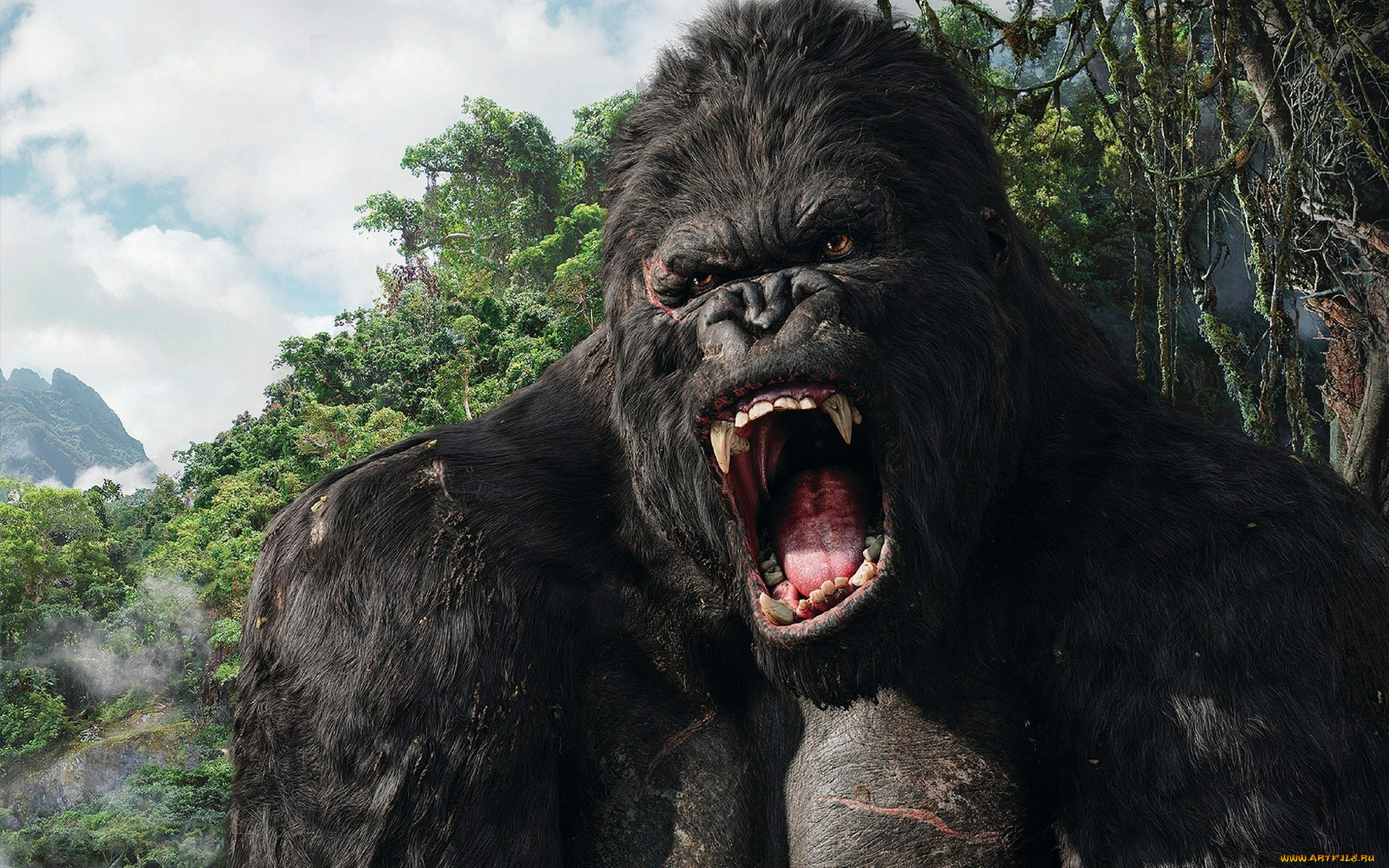 Обои King Kong Кино Фильмы King Kong, обои для рабочего стола, фотографии king,  kong, кино, фильмы, кинг, конг, приключения, розы Обои для рабочего стола,  скачать обои картинки заставки на рабочий стол.